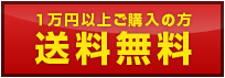 �ꖜ�~�ȏゲ�w���̕���������
