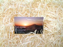 ���C���X�g�[�����h