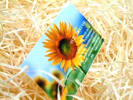 ���C���X�g�[�����h