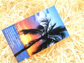 ���C���X�g�[�����h