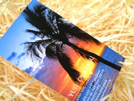 ���C���X�g�[�����h