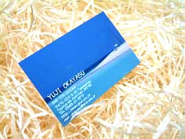 ���C���X�g�[�����h