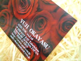 ���C���X�g�[�����h