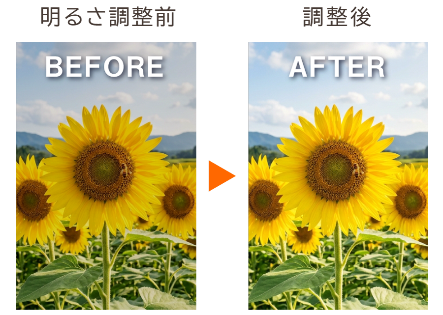 明るさ調整前と調整後の比較