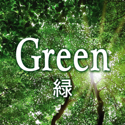 緑色の名刺デザイン